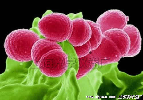 @΢R(x)(li)ur(sh)΢(x)֮(zhn)