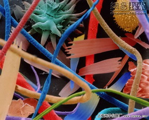 電子顯微鏡-灰塵